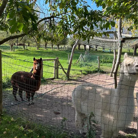 Landidylle Ovs 109 Lejlighed *