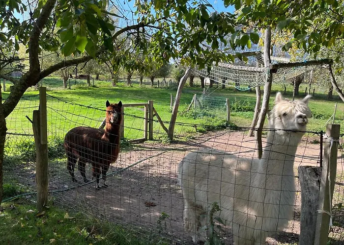 Landidylle Ovs 109 Daire *